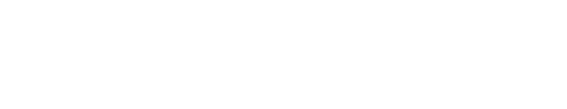 Sponsor